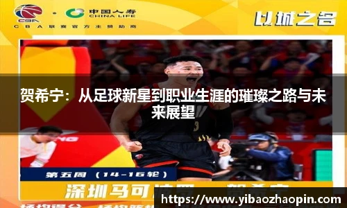 TVT体育平台