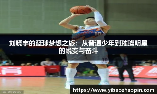 体育数据