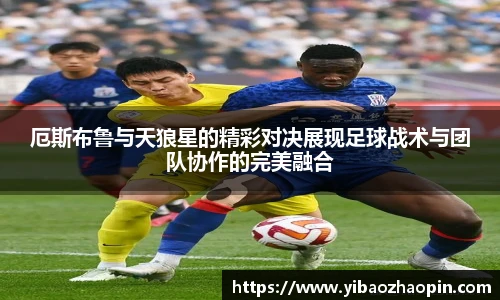 体育数据