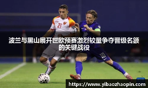 TVT体育平台